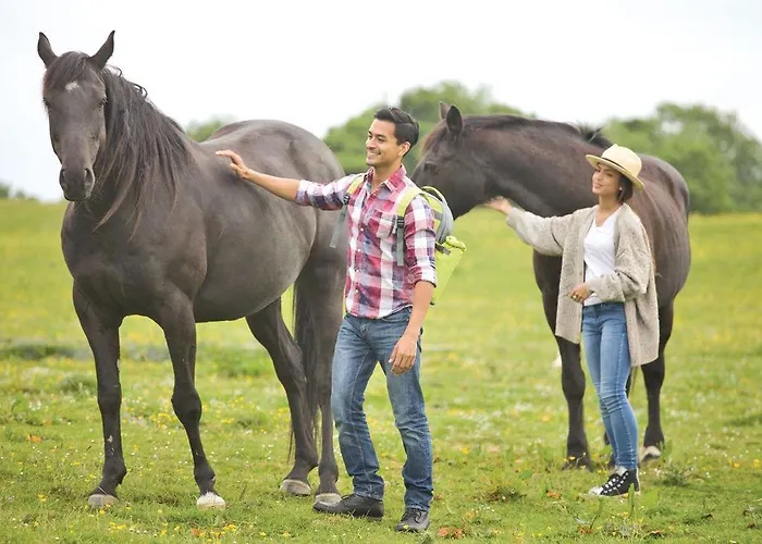 Meadows End Feriepark *