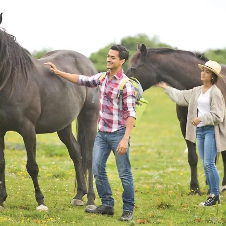 Meadows End Holiday park *